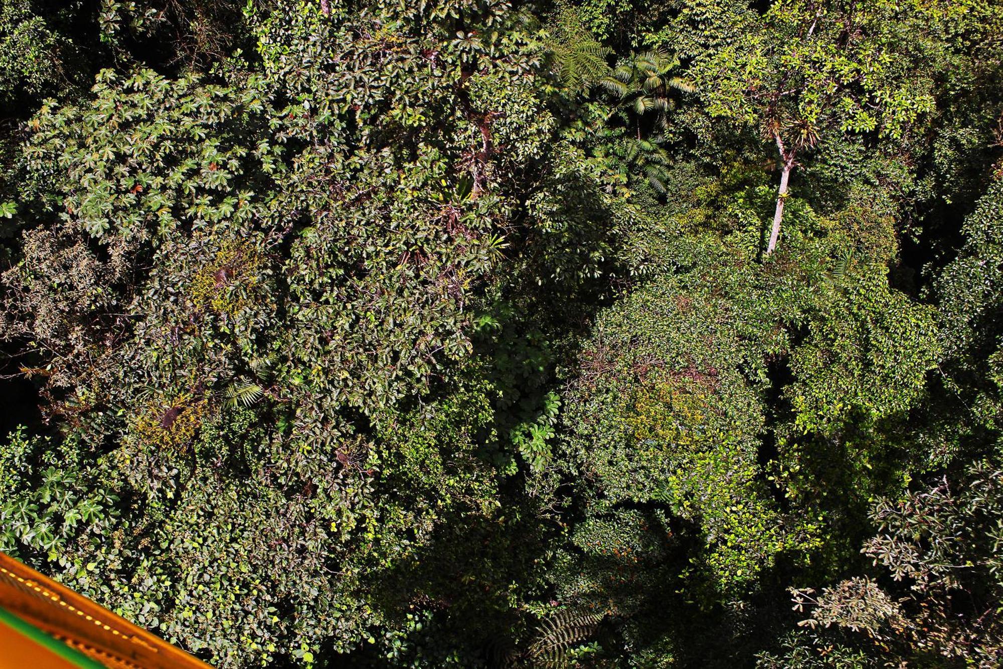 Mindo Green House Dış mekan fotoğraf