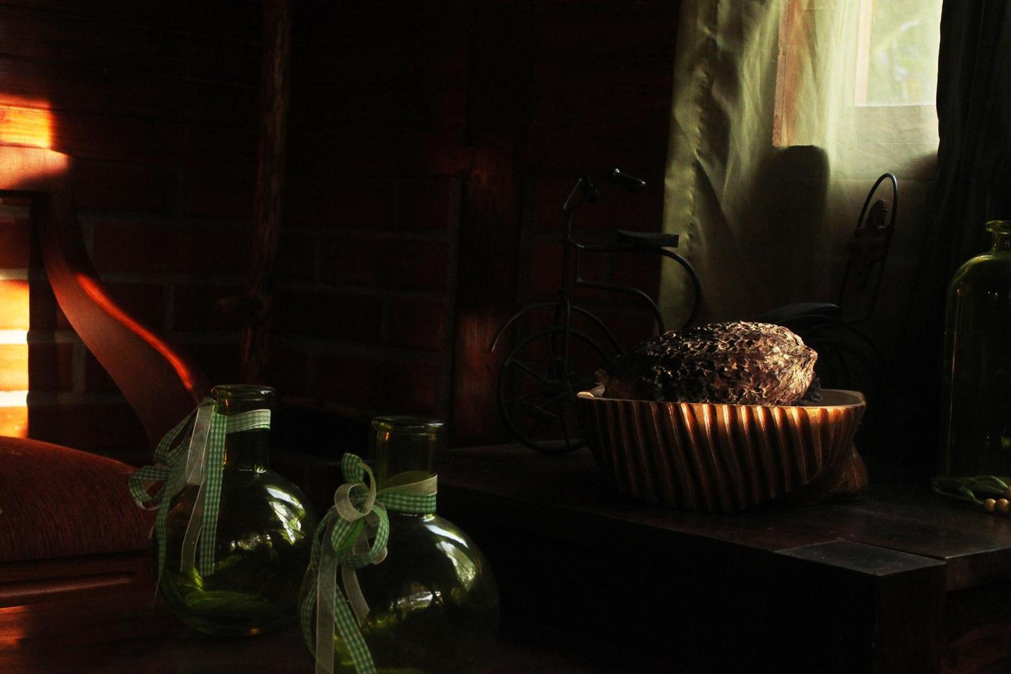 Mindo Green House Dış mekan fotoğraf